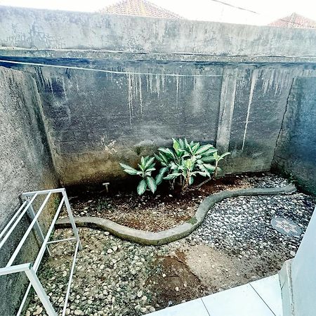 Lembayung Sari Homestay Dempasar Exterior foto